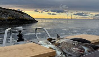 Auf einem Angelboot wird frischer Fisch direkt nach dem Fang auf einem integrierten Filetiertisch verarbeitet. Die Ausstattung ermöglicht hygienisches und komfortables Filetieren direkt auf dem Wasser.