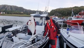 Nach einem erfolgreichen Angeltag wird ein beeindruckender 25 kg schwerer Heilbutt im Hafen von Steinvik bei Oksvoll angelandet. Der Moment der Rückkehr macht den Fang noch einmal besonders – ein echtes Highlight jeder Norwegenreise.