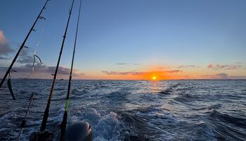 Die Sonne sinkt langsam über den Horizont, während das Boot durch die ruhige See vor Oksvoll gleitet. Die warmen Farben des Himmels spiegeln sich im Wasser und schaffen eine einzigartige Atmosphäre – der perfekte Abschluss eines erfolgreichen Angeltages i